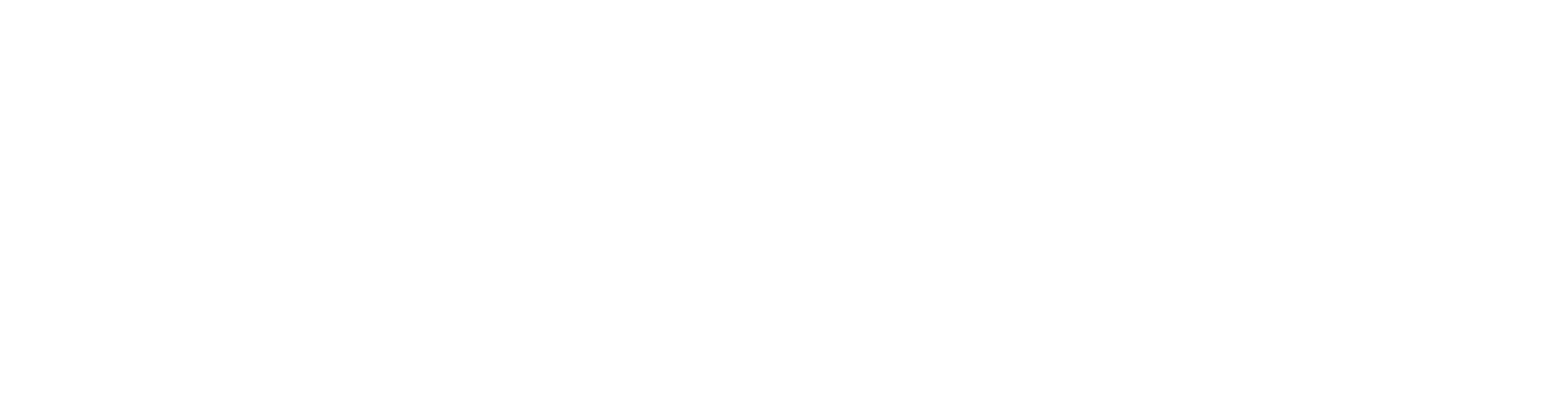 Telnyx_Lockup_Primary_white